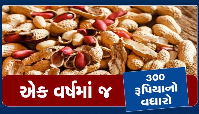 તેલિયા રાજાઓના પાપે સિંગતેલના ભડકે બળી રહ્યાં છે ભાવ, સરકારના ચાર હાથ