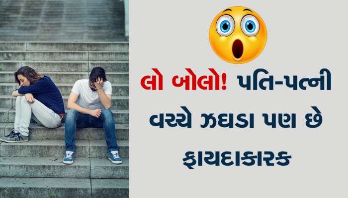 Husband-Wife Fight: પતિ-પત્ની વચ્ચે ઝઘડાઓ શા માટે મહત્વપૂર્ણ છે? જાણો 4 મોટા કારણો