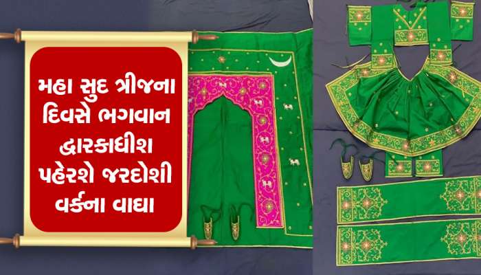 દ્વારિકાના નાથ માટે બનાવાયા જરદોશી વર્કના ખાસ વાઘા, સુરતના છાપગર પરિવારે 12 દિવસમાં તૈયાર કર્યાં