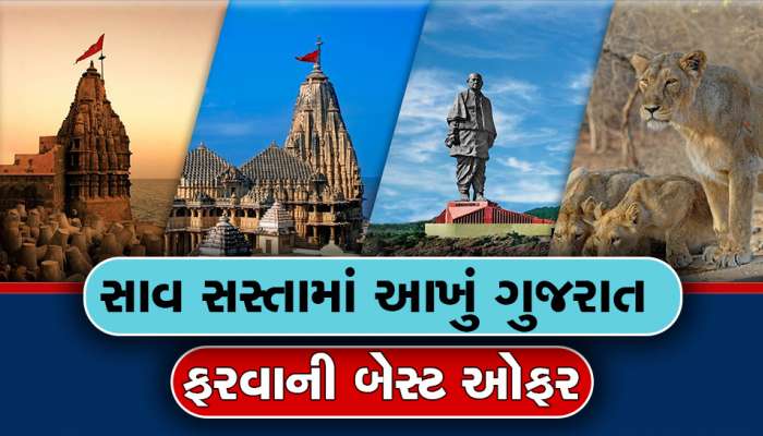 8 દિવસ સસ્તા ટુર પેકેજમાં ફરો આખું ગુજરાત, કચ્છથી લઈ સ્ટેચ્યુ ઓફ યુનિટી સુધી બધુ ફરવા મળશે