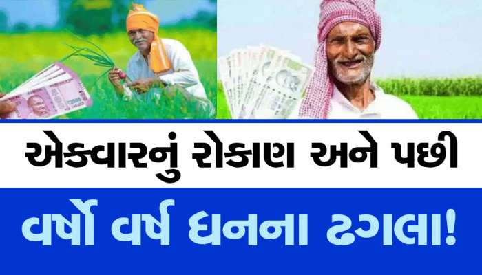 લીલું સોનું કરાવશે ખેડૂતોને લીલા લહેર! એકવાર વાવેતર પછી જીવો ત્યાં સુધી કરો કમાણી!