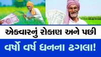 લીલું સોનું કરાવશે ખેડૂતોને લીલા લહેર! એકવાર વાવેતર પછી જીવો ત્યાં સુધી કરો કમાણી!