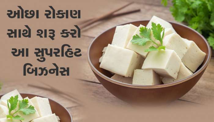 ઓછા ખર્ચે શરૂ કરો આ બિઝનેસ, દર મહિને થશે બમ્પર કમાણી 