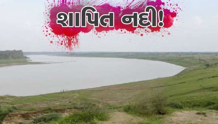 દક્ષિણ ગુજરાતની દમણગંગા નદી બની પ્રદૂષિત, કપડાં ધોવા લાયક પણ નથી રહ્યું નદીનું પાણી
