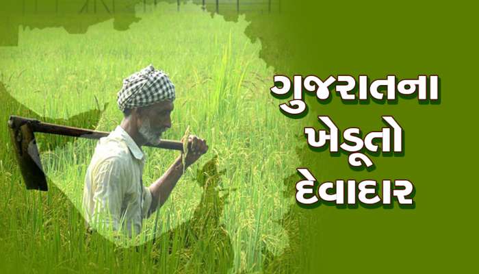 ગુજરાતના ખેડૂતો પર વધી રહ્યું છે દેવું, સરકારની વાતો માત્ર ગુલબાંગો સાબિત
