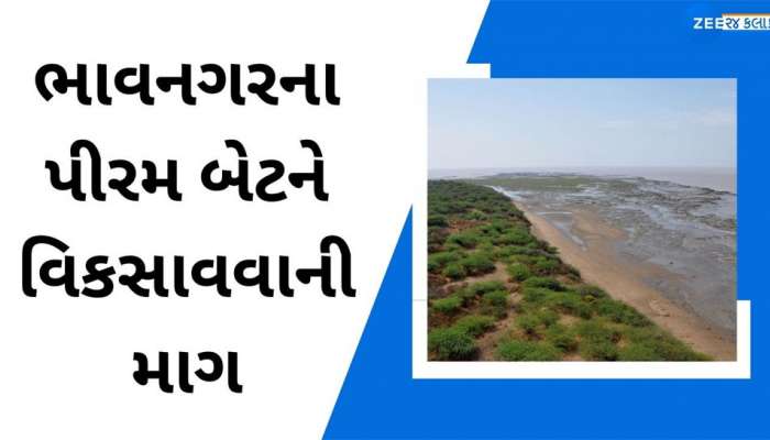 ગુજરાતીઓને ફરવા વધુ એક જગ્યા મળી ગઈ, અંગ્રેજોના જમાનાના આ સુંદર ટાપુને પ્રવાસન સ્થળ તરીકે વિકસાવવાની માંગ ઉઠી