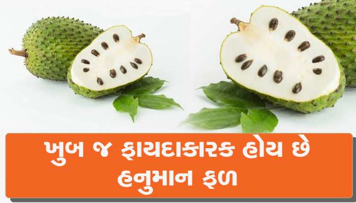 Health: કેન્સર-ડાયાબિટીસ જેવી બીમારીઓમાં પણ ખુબ જ ફાયદાકારક છે આ ફળ, તુરંત જ ડાયેટમાં કરો સામેલ 