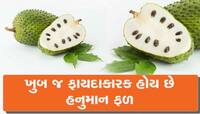 કેન્સર-ડાયાબિટીસ જેવી બીમારીઓમાં પણ ખુબ જ ફાયદાકારક છે આ ફળ