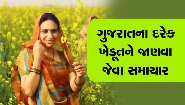 ગુજરાત સરકાર ટેકાના ભાવે આ પાકોની કરશે ખરીદી, રજિસ્ટ્રેશનની આ છે છેલ્લી તારીખ