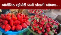 મન હોય તો માળવે જવાય: આદિવાસી ખેડૂતોએ કરી ઓર્ગેનિક ડાંગી સ્ટ્રોબેરીની સફળ ખેતી