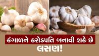લસણના આ ઉપાયથી તમે બની શકો છો કરોડપતિ, ઉપાય અપનાવીને જુઓ