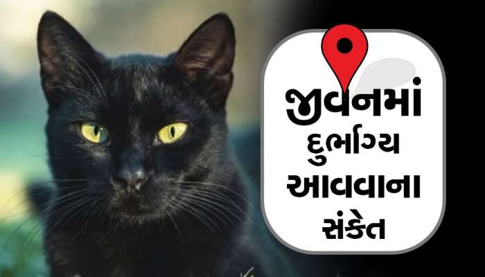 Signs of Bad Luck: ખરાબ સમય આવતા પહેલા મળે છે આવા સંકેત, બદબાદીથી બચવું હોય તો થઈ જાવ સતર્ક!