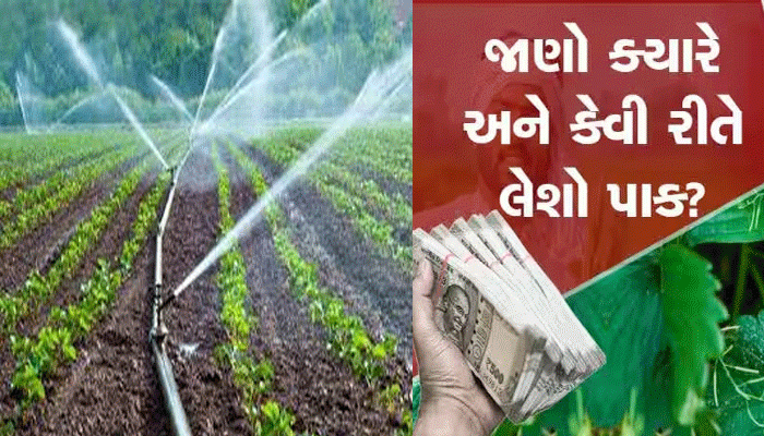 મોર્ડન એગ્રિકલ્ચરે ખોલ્યાં કરિયરના નવા દ્વાર! જાણો નવી ટેકનોલોજીથી ખેતી કરવાના ફાયદા
