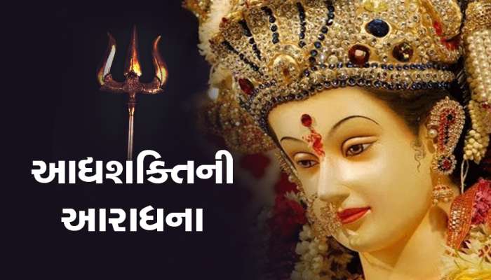 હિમાલયના પહાડોની દુર્લભ સફેદગાયની પૂંછડીના વાળમાંથી બનાવેલી ચામરના દર્શન માટે પડાપડી