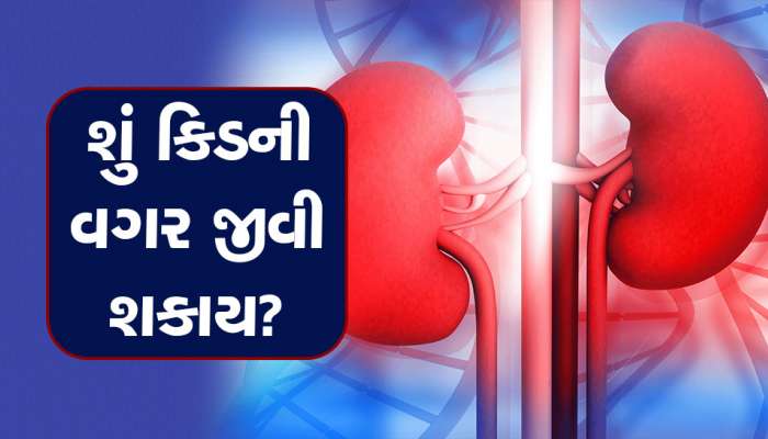 શું બન્ને કિડની ફેલ થઈ જાય તો માણસ જીવી શકે? જાણો શું કહે છે નિષ્ણાતોનો મત