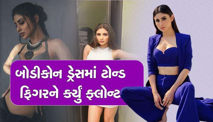હદથી વધારે ટાઈટ ડ્રેસમાં 'નાગિને' દેખાડી અદાઓ , એવી દેખાતી હતી કે લોકોએ...