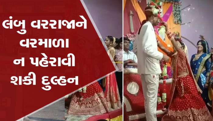 લાંબા વરરાજાના ગળામાં વરમાળા ન નાખી શકી દુલ્હન, વાયરલ થઈ રહ્યો છે વીડિયો
