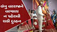 લાંબા વરરાજાના ગળામાં વરમાળા ન નાખી શકી દુલ્હન, વાયરલ થઈ રહ્યો છે વીડિયો