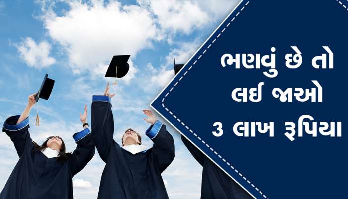 વિના વ્યાજે મળે છે લોન: મન કરે તો જ આપવાની શરત, વિધવાઓને તો દર મહિને આપે છે 7000 પેન્શન
