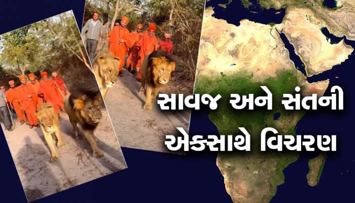 સ્વામીનારાયણ સંપ્રદાયમાં ચમત્કારીક ઘટના, ગીરમાં ન જોવા મળે તેવું આફ્રિકામાં જોવા મળ્યું... 