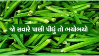 ભીંડાનું પાણી પણ સ્વાસ્થ્ય માટે છે વરદાન, કોલેસ્ટ્રોલ અને બ્લડ સુગરમાં મળે છે રાહત