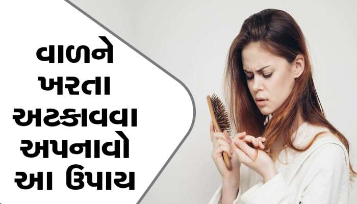 Hair Loss Prevention: માત્ર ત્વચા માટે જ નહીં વાળ માટે પણ ખૂબ ફાયદાકારક છે એલોવેરા