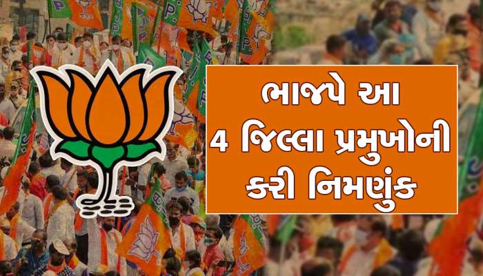 Gujarat BJP: ચૂંટણી હાર્યા તો મંત્રીપદ ગયું પણ હવે જિલ્લા પ્રમુખ બની ગયા, આ 4 નેતાઓને લોટરી લાગી