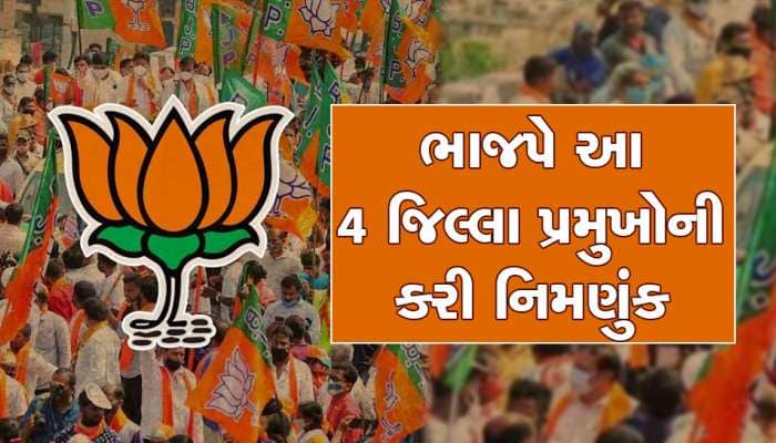 ચૂંટણી હાર્યા તો મંત્રીપદ ગયું પણ હવે જિલ્લા પ્રમુખ બની ગયા, આ 4 નેતાઓને લોટરી લાગી