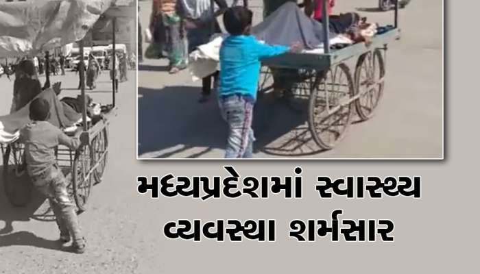 પુત્રની મજબૂરીઃ બીમાર પિતાને હાથલારીમાં હોસ્પિટલ લઈ ગયો, જેણે વીડિયો જોયો તેની આંખો રડી પડી