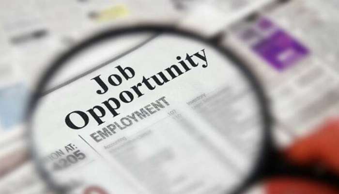 Jobs 2023: HCLમાં નોકરી મેળવવાની સુવર્ણ તક, આ જગ્યાઓ પર થશે ભરતી, જાણો સંપૂર્ણ વિગત