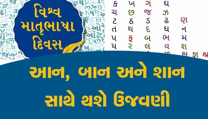 હાથીની અંબાડી ઉપર ગુજરાતી ભાષાના પ્રસિદ્ધ પુસ્તકો અને ગ્રંથોની  શોભાયાત્રા નિકળશે