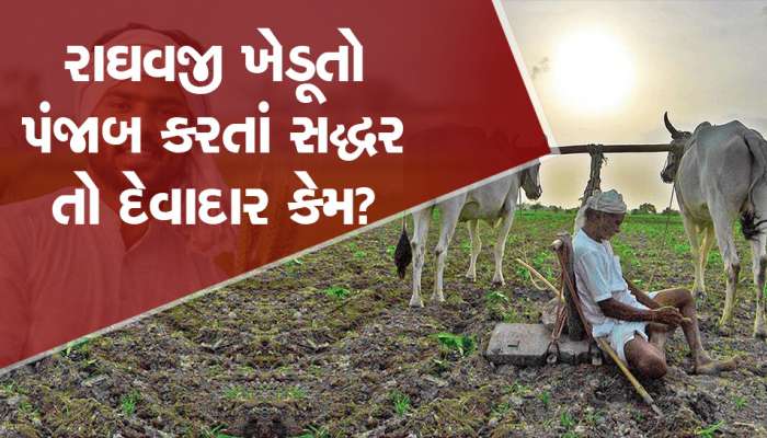 ખેતીમાં અગ્રેસર ગુજરાતી ખેડૂતો દેવાદાર: ગુજરાતમાં બધા પરિવારના માથે 56 હજારનું દેવું