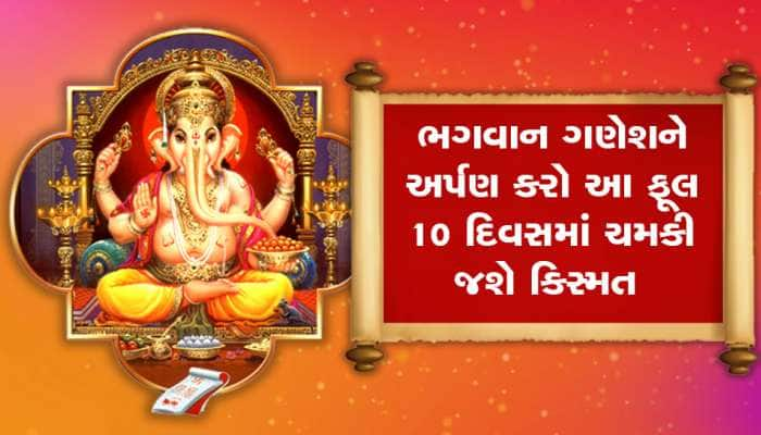 ભગવાન ગણેશને આ ફૂલ છે ખૂબ જ પ્રિય, અર્પણ કરવાથી બધી જ મનોકામના થાય છે પૂર્ણ