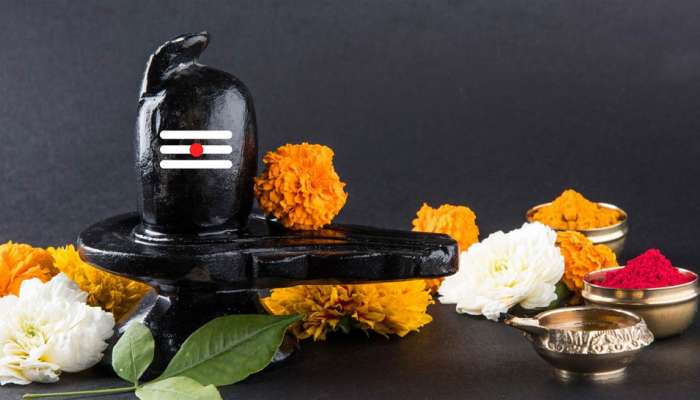 મહાશિવરાત્રી પર અચૂક કરો આ ઉપાય, દરેક મનોકામના જલ્દી થશે પૂર્ણ!