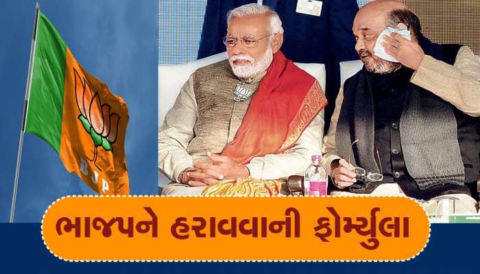 '2024ની ચૂંટણીમાં ભાજપને 100 સીટો આવશે', આ કદાવર નેતાએ કરી ભવિષ્યવાણી