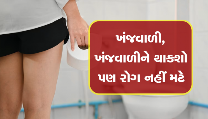 Toilet Use Precautions: ટોયલેટ શીટ પર 10 મિનિટથી વધુ બેસશો તો થશો આ 4 રોગોના શિકાર, આ રોગ થયો તો...