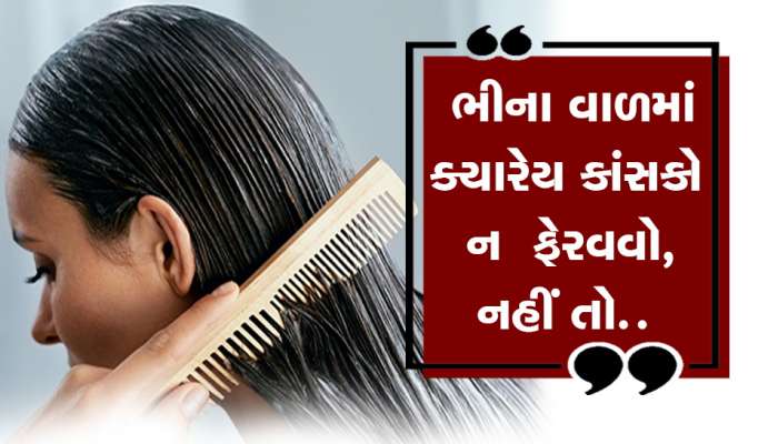 Hair Comb Rules: ભીના વાળમાં કાંસકો ફેરવવો જોઈએ કે નહીં? જાણી લો એક્સપર્ટ્સનો મત, નહીં તો માથાના વાળ ખરી જશે