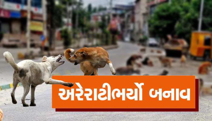 સુરત : 3 શ્વાન બાળકી પર તૂટી પડ્યા, 20 થી વધુ બચકા ભરીને બાળકીને ઘાયલ કરી