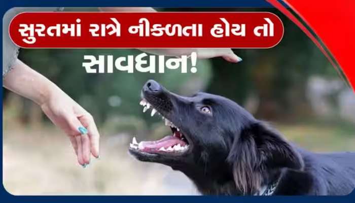 સુરતમાં 2 વર્ષની બાળકીને બચકાં ભરતા દ્રશ્યો તમને ધ્રુજાવી દેશે! 40 બચકા ભર્યા, સર્જરી કરવી પડી