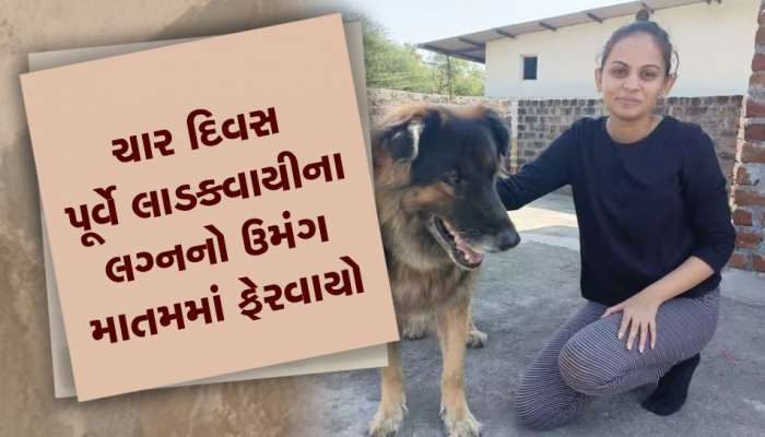 હાથ પર બચકું ભર્યાનું નિશાન, મોબાઈલ ફોર્મેટ કરેલો, દીકરી સાથે કંઈ અઘટિત થયું હોવાની પરિવારને શંકા!