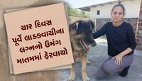 હાથ પર બચકું ભર્યાનું નિશાન, મોબાઈલ ફોર્મેટ કરેલો, અઘટિત થયું હોવાની પરિવારને શંકા!