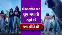 Funny Viral Video: રોડ પર રીલ બનાવી રહી હતી યુવતી, કેમેરા પર કૂતરાએ કર્યો પેશાબ