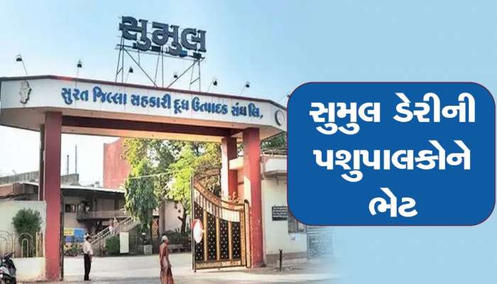 સુમુલ ડેરીની પશુપાલકોને ભેટ, દૂધના ભાવમાં પ્રતિ કિલો ફેટે 30 રૂપિયાનો ભાવ વધારો કરાયો