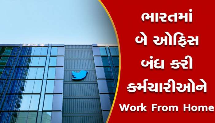 Twitter માં છટણીનો બોમ્બ ફૂટ્યો, હવે સેલ્સ ટીમમાંથી સેંકડો લોકોની નોકરીઓ ગઈ