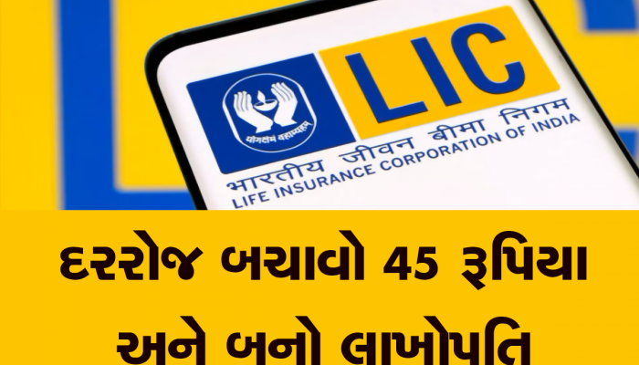 LICની સૌથી શ્રેષ્ઠ પોલિસી! માત્ર 1358 રૂપિયાની બચત પર તમને મળશે 25 લાખ રૂપિયા