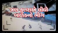 CCTV: હૈદરાબાદમાં 4 વર્ષના બાળક પર તૂટી પડ્યા ત્રણ કુતરા, બચકાં ભરીને લઈ લીધો જીવ