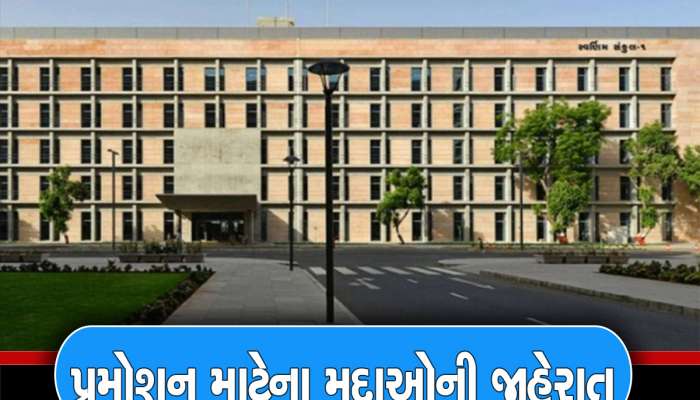 મહેસૂલ વિભાગના સરકારી કર્મચારીઓ માટે રાજ્ય સરકારનો મોટો નિર્ણય, છવાયો આનંદનો માહોલ 