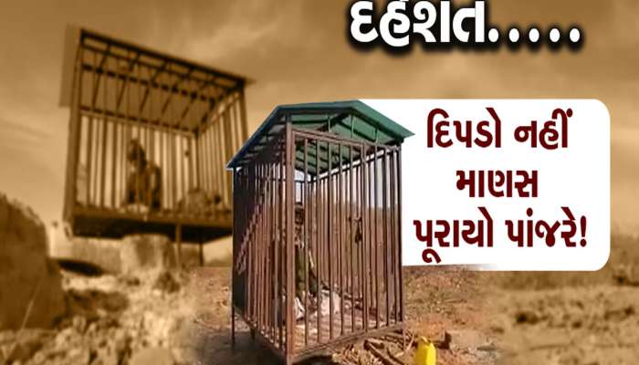 માનવામાં નહિ આવે પણ આ દ્રશ્ય ગુજરાતનું છે, દીપડા ખુલ્લેઆમ ફરે છે અને માણસો પાંજરે પૂરાયા 