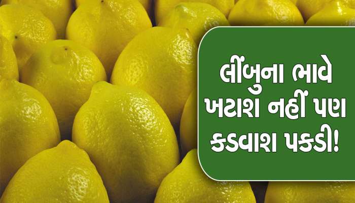 મહિલાઓના બજેટ વિખેરાયા, 8 દિવસમાં લીંબુના ભાવમાં ઊથલપાથલ, ભાવ સાંભળીને દાંત થશે ખાટા