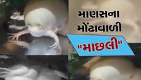 Viral Video: ફિશ ટેન્કમાં નવજાત બાળક જેવા જીવને જોઈને લોકો પણ ચોંકી ઉઠ્યા